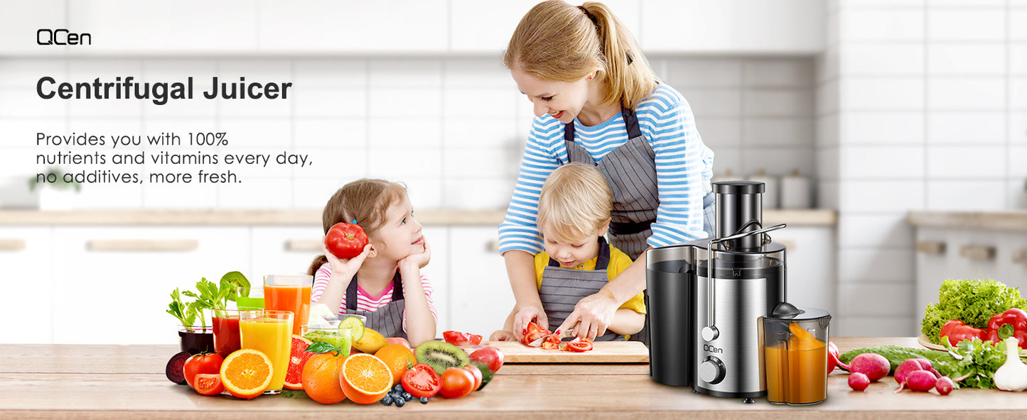 JuiceEase Steel 800W Centrifugal Juicer