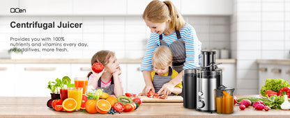 JuiceEase Steel 800W Centrifugal Juicer