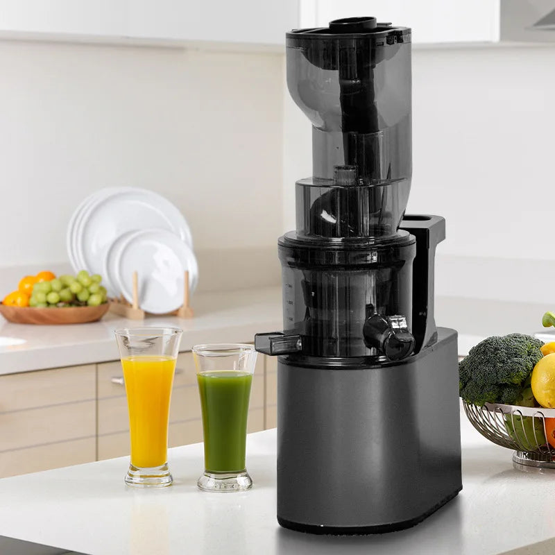 Max 2L Slow Juicer