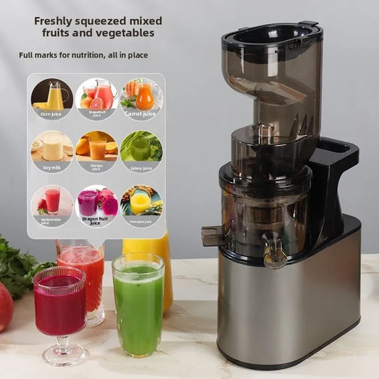 Max 2L Slow Juicer