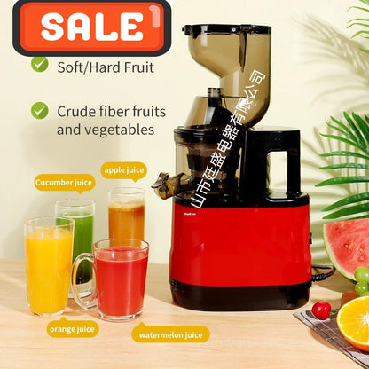 Max 2L Slow Juicer