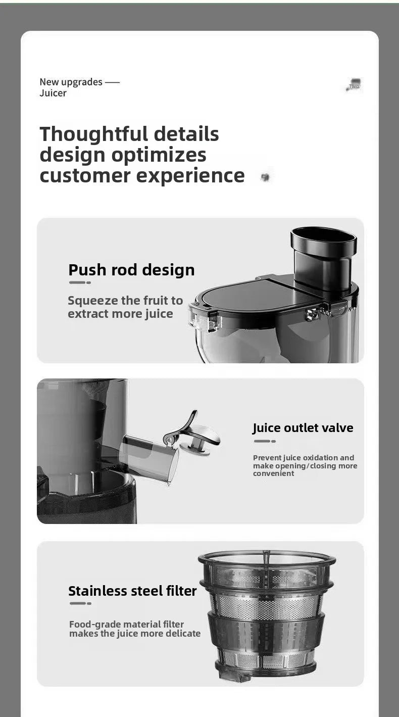 Max 2L Slow Juicer