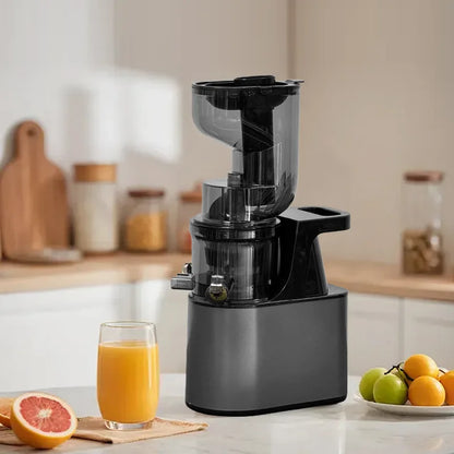 Max 2L Slow Juicer