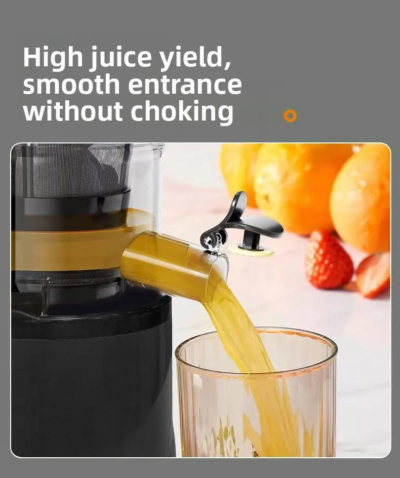 Max 2L Slow Juicer