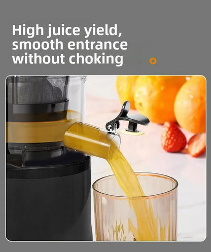 Max 2L Slow Juicer