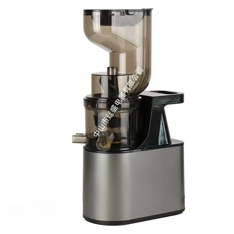 Max 2L Slow Juicer