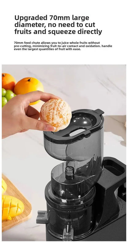 Max 2L Slow Juicer