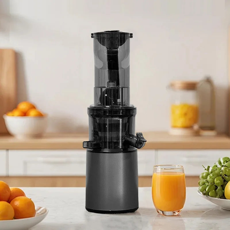 Max 2L Slow Juicer