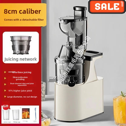 Max 2L Slow Juicer